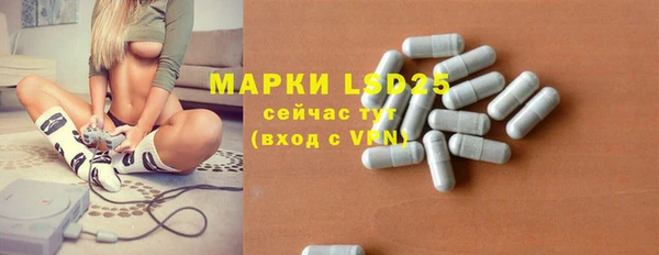 винт Сатка