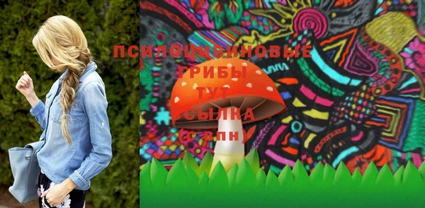 винт Сатка