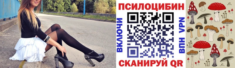 закладки  Арсеньев  Псилоцибиновые грибы ЛСД 